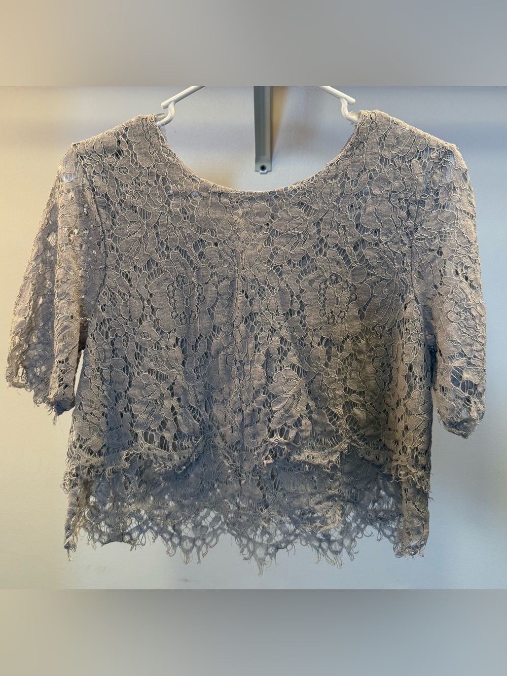 Chance or Fate Taupe Lace Short Sleeve Crop Top